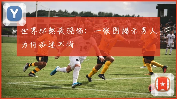 世界杯熬夜现场：一张图揭示男人为何痴迷不悔
